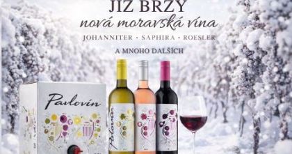 Nová moravská vína