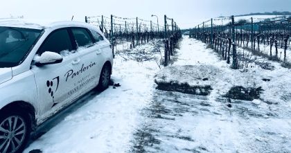 Zima, jaká dlouho nebyla ...